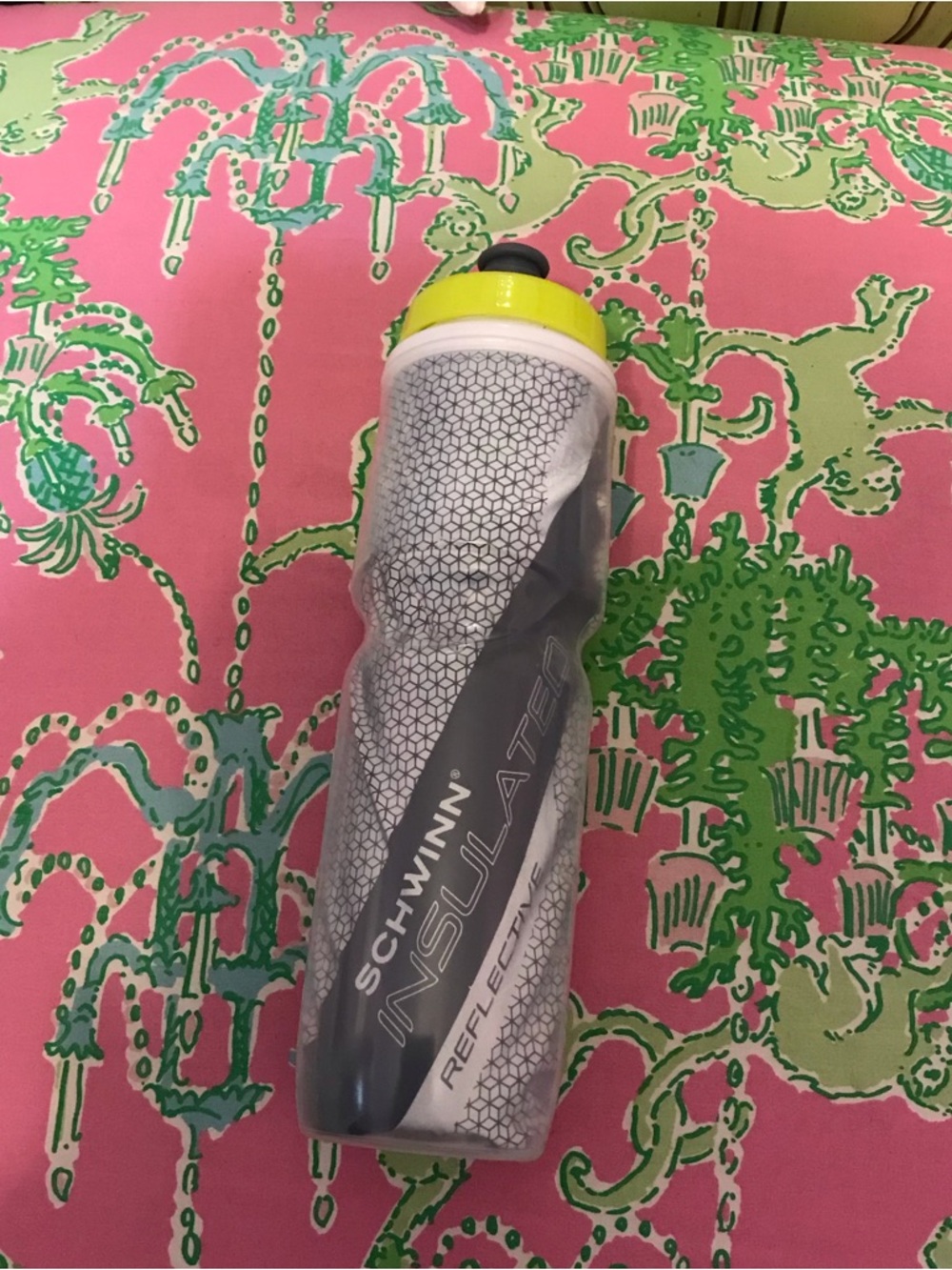 Schwinn bpa free 26 oz. Insulated reflective Water Bottle